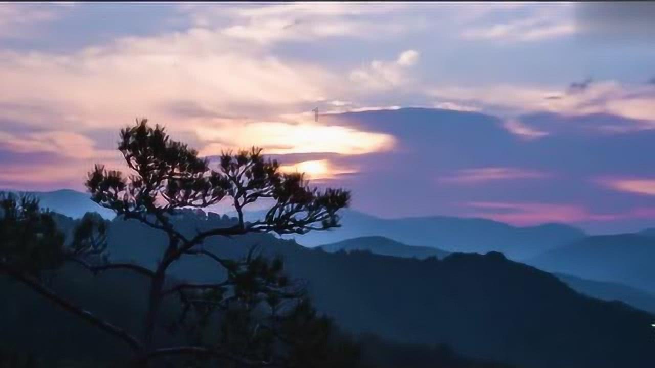 忍无可忍!美联航CEO公开批评波音 对频发制造问题感到失望