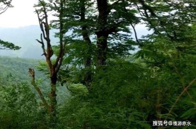 江苏盐城经开区举行龙年房地产促销：购买新建商品住房最高补贴2万元