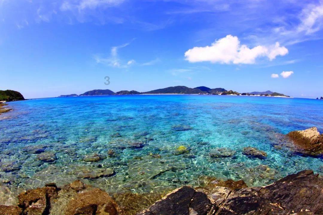 春雨直播app