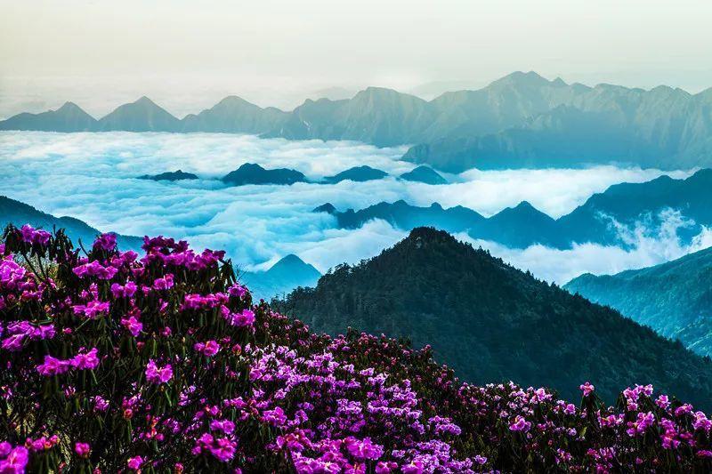 焦虑、抑郁,不破不立